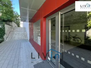 Pronájem bytu 1+kk, Olomouc, Rokycanova, 43 m2