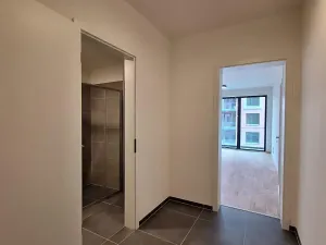 Pronájem bytu 1+kk, Praha - Karlín, Švarcova, 31 m2