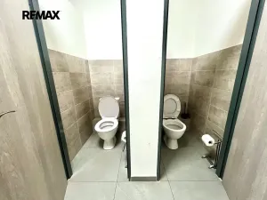 Pronájem výrobních prostor, Kyjov, 368 m2