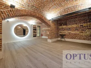 Pronájem bytu 5+kk, Praha - Staré Město, Dušní, 172 m2