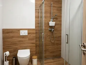 Pronájem bytu 1+kk, Olomouc, Andělská, 35 m2