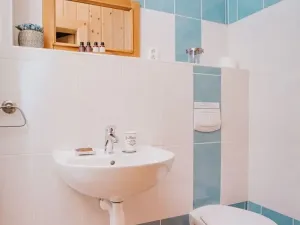 Prodej ubytování, Deštné v Orlických horách, 751 m2
