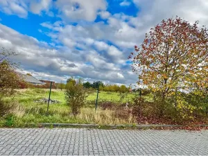Prodej komerčního pozemku, Tachlovice, 6000 m2