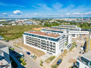Prodej bytu 1+kk, Plzeň, Železná, 38 m2