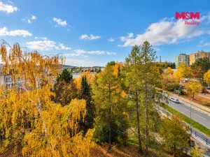 Prodej bytu 3+1, Příbram - Příbram VIII, Školní, 87 m2