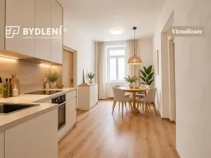 Pronájem bytu 4+kk, Teplice, Havlíčkova, 118 m2