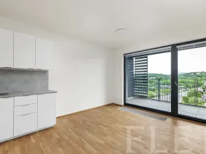 Pronájem bytu 1+kk, Praha - Modřany, Mezi vodami, 33 m2
