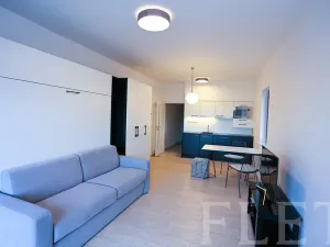 Pronájem bytu 1+kk, Praha - Karlín, U Mlýnského kanálu, 36 m2