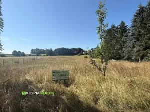 Prodej pozemku pro bydlení, Kynšperk nad Ohří, Petra Bezruče, 4145 m2