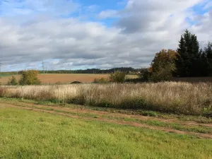 Prodej pozemku, Olešná, 2187 m2