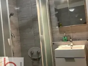 Pronájem bytu 1+kk, České Budějovice, Krčínova, 38 m2