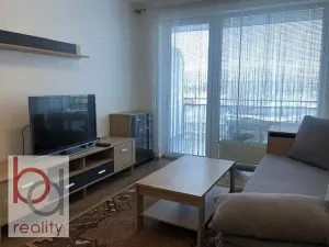 Pronájem bytu 1+kk, České Budějovice, Krčínova, 38 m2