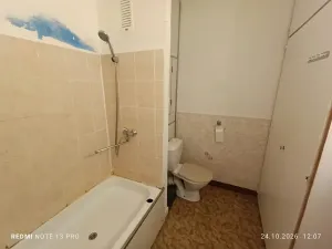 Prodej bytu 1+1, Frýdek-Místek, Anenská, 40 m2