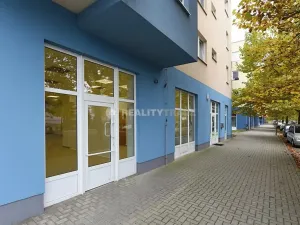 Pronájem obchodního prostoru, Strakonice, Jezerní, 120 m2