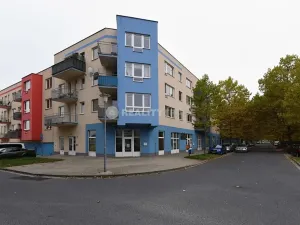Pronájem obchodního prostoru, Strakonice, Jezerní, 120 m2