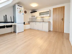 Prodej rodinného domu, Ústí nad Labem, Křižíkova, 150 m2