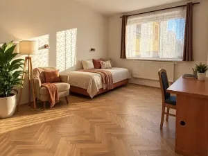 Prodej bytu 2+1, Tišnov, Sv. Čecha, 52 m2