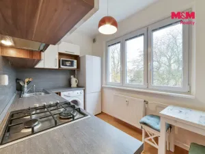 Pronájem bytu 2+1, Františkovy Lázně, Česká, 53 m2
