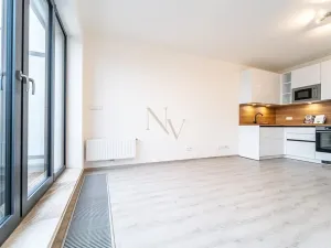 Pronájem bytu 1+kk, Brno, Opuštěná, 29 m2