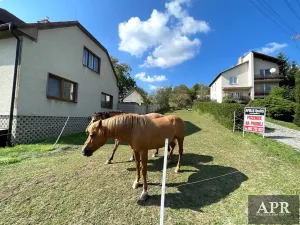 Prodej pozemku pro bydlení, Pašovice, 1279 m2