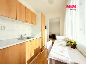 Pronájem bytu 1+1, Milovice - Mladá, Braniborská, 27 m2