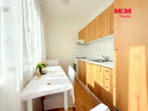 Pronájem bytu 1+1, Milovice - Mladá, Braniborská, 27 m2