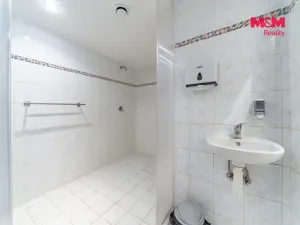 Prodej obchodního prostoru, Cheb, Lesní, 130 m2