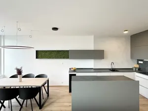 Pronájem bytu 4+kk, Brno, Placzkova, 112 m2