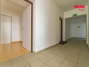 Pronájem bytu 1+kk, Vlčice, 36 m2