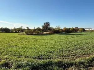 Prodej zahrady, Brno, 6418 m2