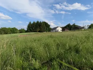 Prodej pozemku pro bydlení, Zbizuby, 1000 m2