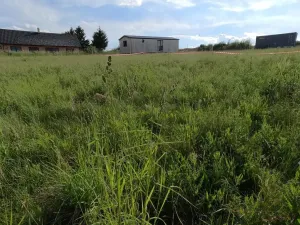 Prodej pozemku pro bydlení, Zbizuby, 1000 m2
