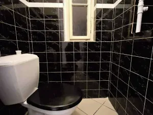 Pronájem bytu 3+1, Praha - Vinohrady, Mánesova, 90 m2
