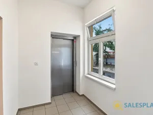 Prodej bytu 2+kk, Praha - Žižkov, Havlíčkovo náměstí, 34 m2