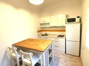 Pronájem bytu 1+1, Ostrava - Poruba, Žilinská, 32 m2