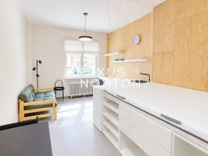 Pronájem bytu 1+kk, Praha - Vinohrady, Slezská, 24 m2