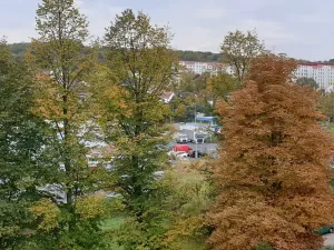 Prodej bytu 2+1, Ústí nad Labem, 17. listopadu, 50 m2