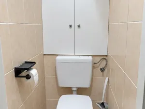 Pronájem bytu 2+1, Valašské Meziříčí, Švabinského, 49 m2