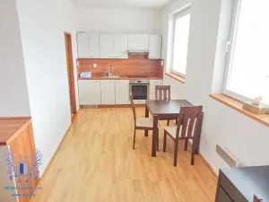 Prodej bytu 1+1, Mělník, Sportovní, 44 m2