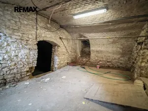Prodej restaurace, Svinaře, Zelená Hora, 500 m2
