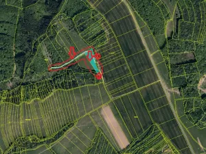 Prodej lesa, Velký Ořechov, 11293 m2