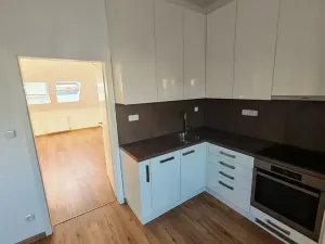 Pronájem bytu 1+1, Praha - Nové Město, Růžová, 56 m2