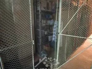 Prodej bytu 2+1, Jablonec nad Nisou, U Staré lípy, 61 m2