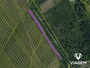 Prodej pole, Boršice u Blatnice, 2802 m2
