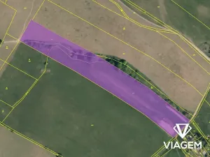 Prodej podílu pole, Liptaň, 7301 m2