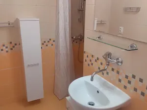 Pronájem bytu 2+1, Brno, Nováčkova, 77 m2