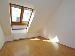 Pronájem kanceláře, Praha - Smíchov, Štefánikova, 82 m2