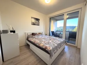Pronájem bytu 2+kk, Praha - Holešovice, Jankovcova, 44 m2