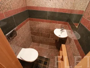 Pronájem komerční nemovitosti, Praha - Vysočany, Jandova, 67 m2