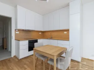 Pronájem bytu 1+kk, Praha - Karlín, Švarcova, 36 m2